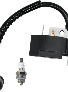 点火线圈高压包  适用于850080001 PS02762 4306401 308064001