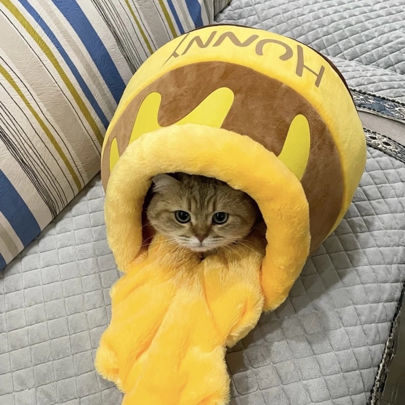 冬天保暖封闭式蜂蜜罐可爱猫窝