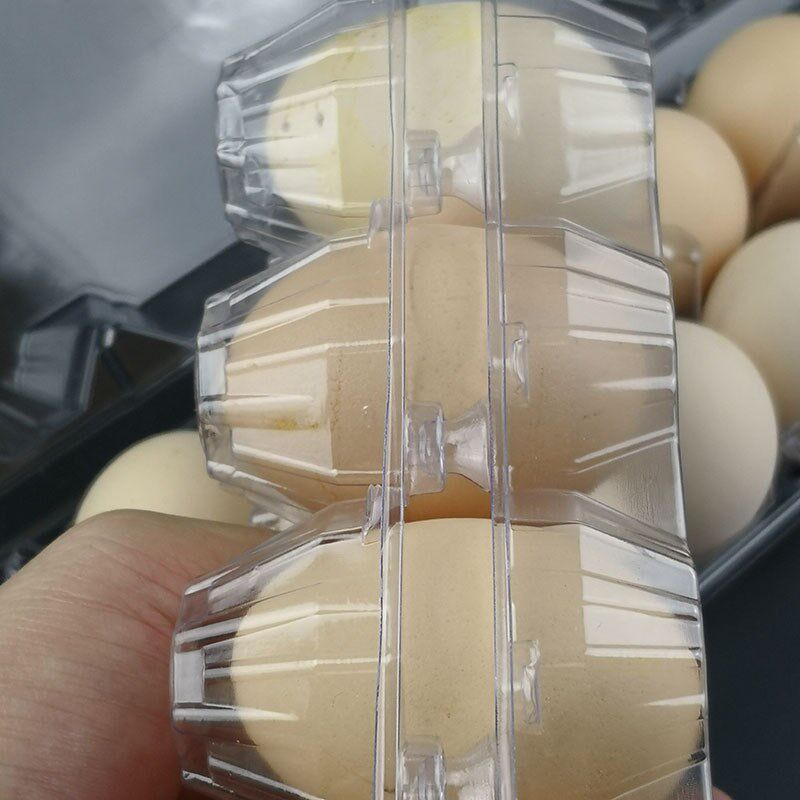 鸡蛋包装盒一次性透明蛋托吸塑初生蛋土鸡蛋打包盒长方形快递防震