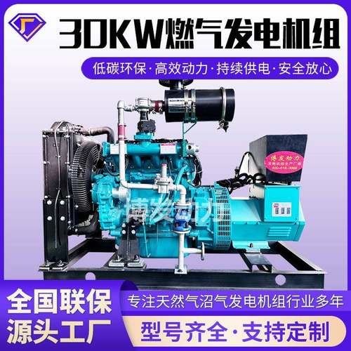 天然气沼气发电机组养猪场沼气发电机纯铜无刷kw燃气发电机组