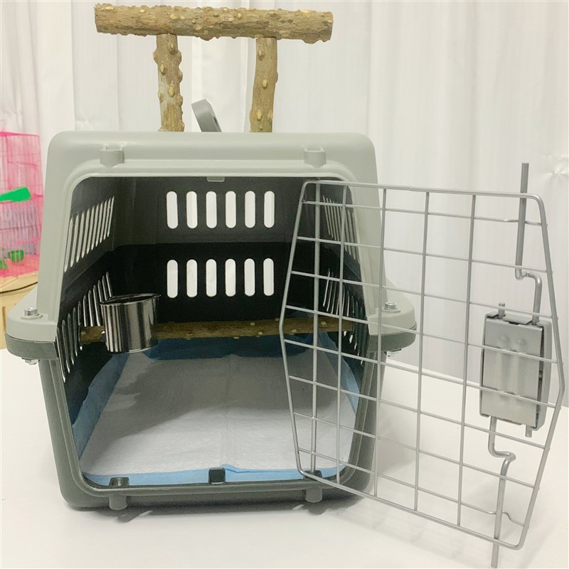 高端精品秃鼻航空箱红嘴航空箱白颈航空箱外出笼鸟类航空箱乌鸦