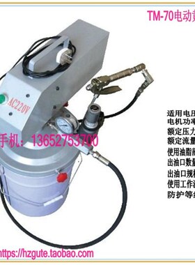 电动黄油泵20L220V   黄油加注机TM-70G  24.V20L