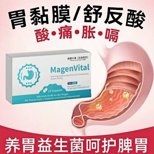 养胃部益生菌粉调理肠胃罗伊氏乳杆正品 1ch