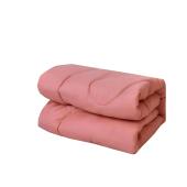 加厚棉被垫冰丝凉席爬爬垫室内儿童帐篷专用幼儿园母婴亲肤机洗