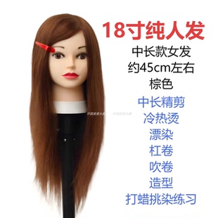 全真发头模学徒剪发假人头模型可烫染美发模特头真人发公仔头