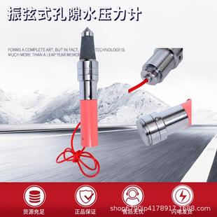 振弦式渗压计孔压力计轴力钢筋应力锚索沉降测绘孔隙水压力扬压计