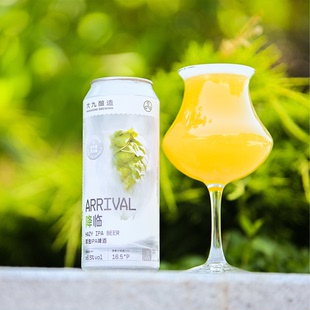 惠同学 大九降临/无量/意想指南/无序/九窨茉莉/流体果泥精酿啤酒