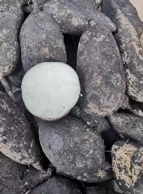 云南德宏特产农家自种新鲜蔬菜 洋丝瓜根 洋瓜 佛手瓜根 寿瓜500g