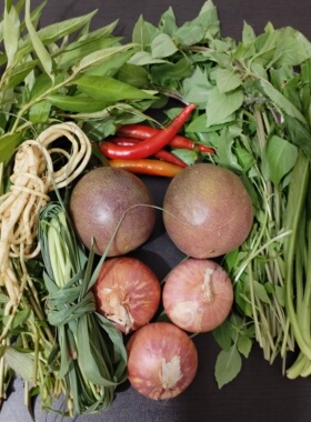 云南德宏傣味舂鸡爪香料组合芫荽香柳百香果金芥小米辣洋葱折耳根