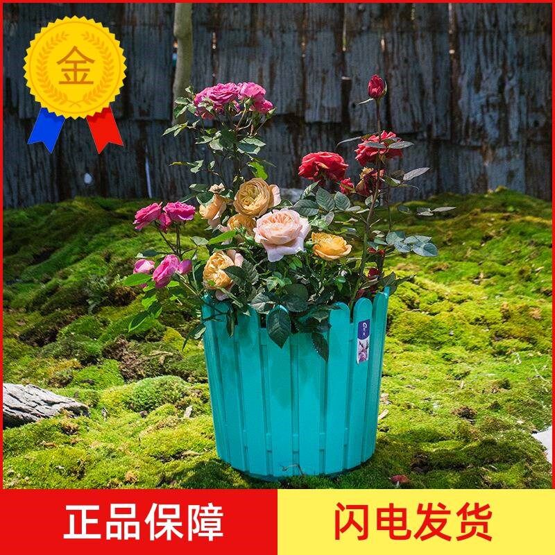 栅栏盆创意植物种植塑料花盆园艺装饰加厚树脂大花盆