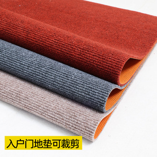 入户地垫可裁剪耐脏免洗进门玄关门口除尘可裁剪脚垫卧室隔音地毯