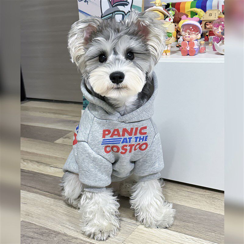 宠物猫咪狗狗秋冬衣服 韩版灰色加绒加厚纯棉连帽保暖卫衣 中小大
