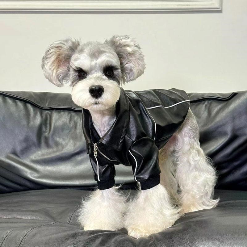 宠物秋冬装黑皮衣宠物酷帅外套狗狗衣服小型犬冬装保暖棉衣外套