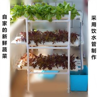 神器阳台自动无土栽培设备水耕水培蔬菜种植槽箱盆容器 家庭管道式