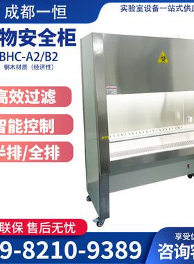 四川成都生物安全柜BHC-1000A2/B2实验室半排通风柜实验台安全柜