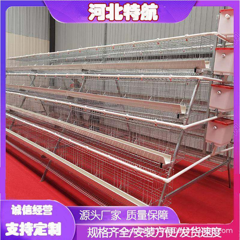 多层阶梯蛋鸡笼三层四层镀锌丝笼层叠式养鸡养殖设备家用加密笼,畜牧/养殖物资,特种养殖设备,淘宝优惠券,粉丝福利购,淘宝优惠卷