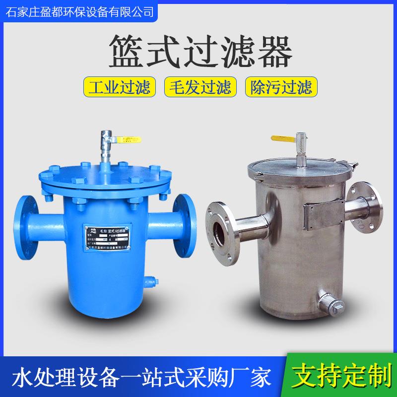 篮式过滤器碳钢立式直通除污器游泳池毛发过滤器篮式除污器