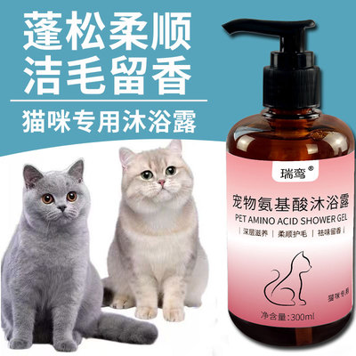 猫咪沐浴露杀菌除螨除臭留香洁毛柔顺幼猫专用洗澡香波洗护二合一