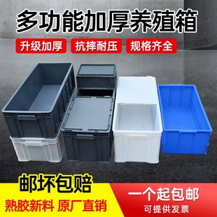 加长49号周转箱69号箱养鱼z养龟中转箱窄长型塑料箱30厘米宽箱