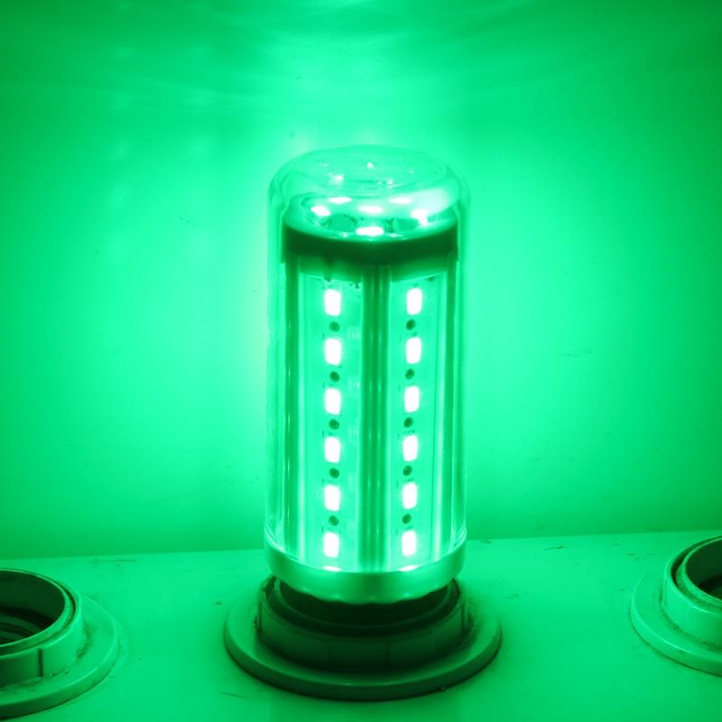 防水LED灯笼专用灯泡桔红金黄蓝绿粉户外庭院家用养殖彩色玉米灯