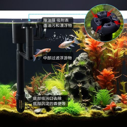 鱼乐多鱼缸客厅小型生态玻璃斗鱼家用桌面迷你造景装饰水族箱