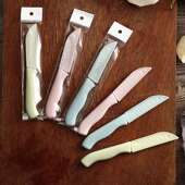 水果刀不锈钢塑料刀套家用便携两元 店活动礼品削皮瓜果去皮小刀