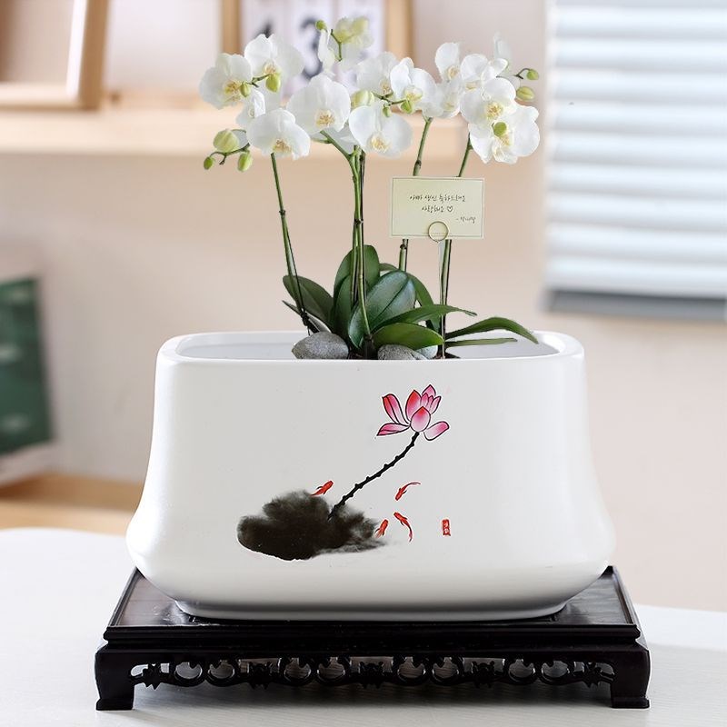 长方形花盆陶瓷带托盘大号多肉花盆家用方形长条盆景盆