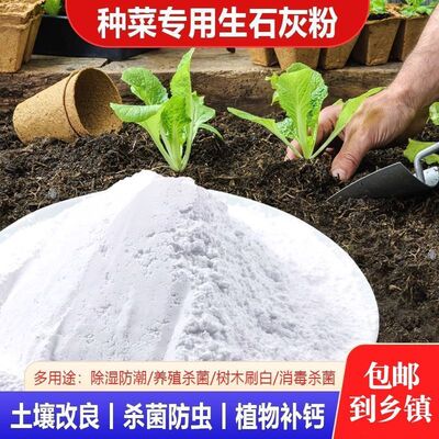 生石灰农用菜地室内防潮防霉干燥