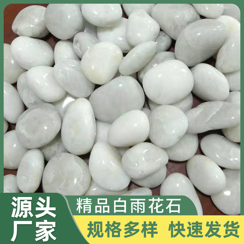 精品白雨花石白色精品鹅卵石水池装饰鱼缸造景园林美化石子批发
