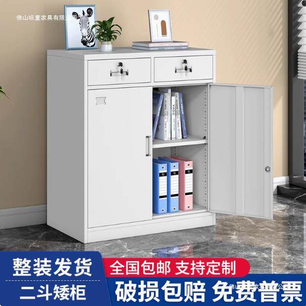 带锁家用储物柜子二斗矮柜办公室文件柜铁皮柜钢制桌下收纳矮柜