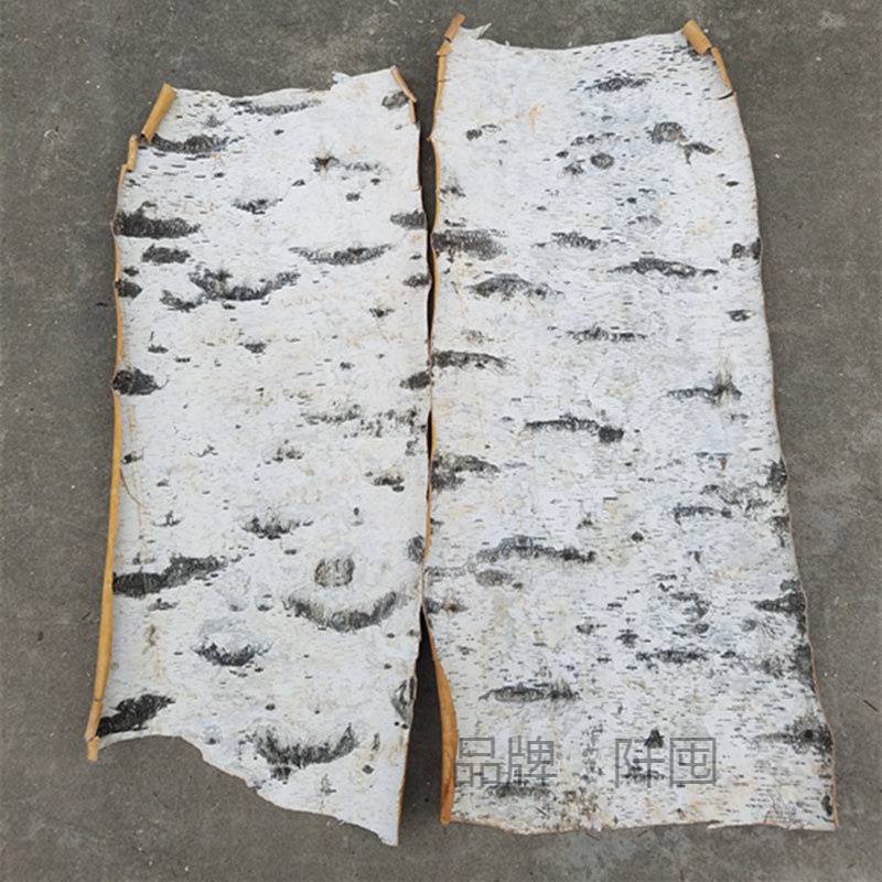 天然白桦仿真树皮装饰原料批发