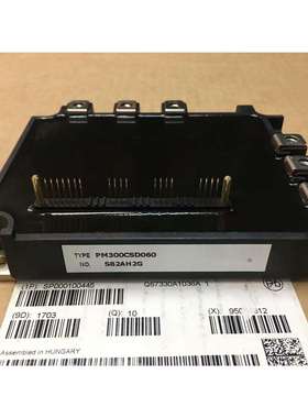 PM300CSD060PM150RSE120PM150RRA060PM300RSD060PM200RSE060