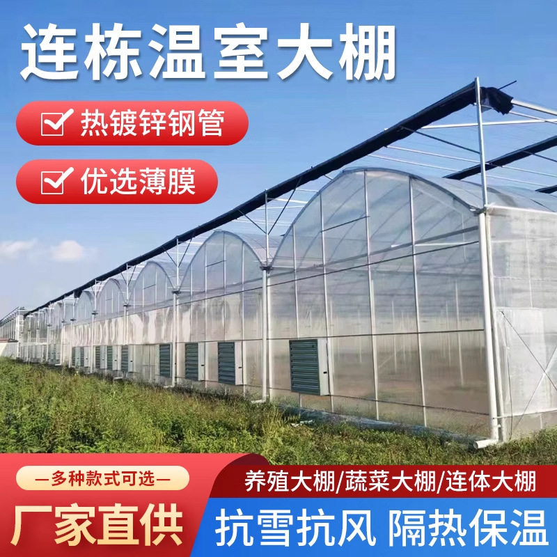 连体po膜覆盖薄膜温室智能双拱双模圆拱形拱棚菊花育苗基地