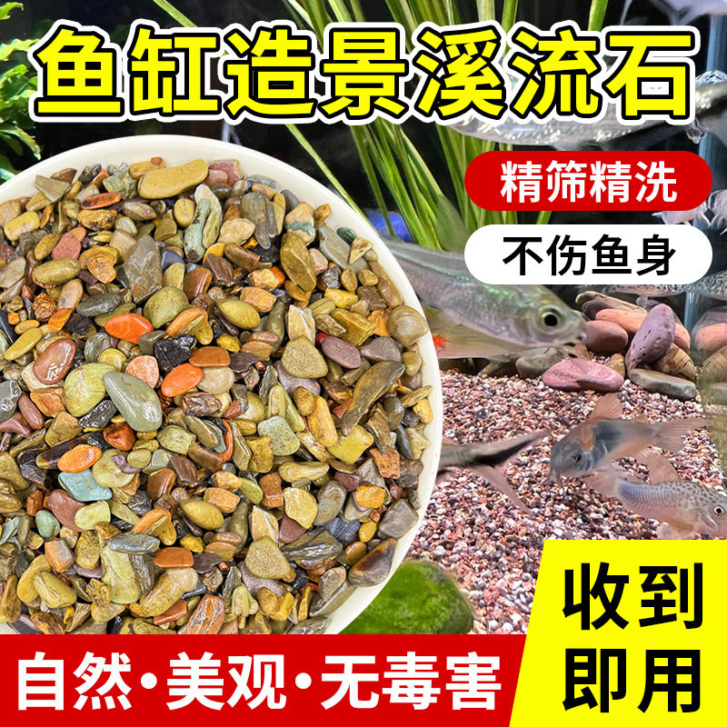 天然溪流川龟缸南美溪流鱼缸造景缸雷龙石砂藏沙底流沙水草底鱼砂
