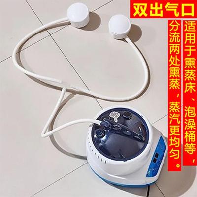 (双通道出气口）汗蒸箱家用桑拿浴熏蒸仪满月发汗熏蒸机全身