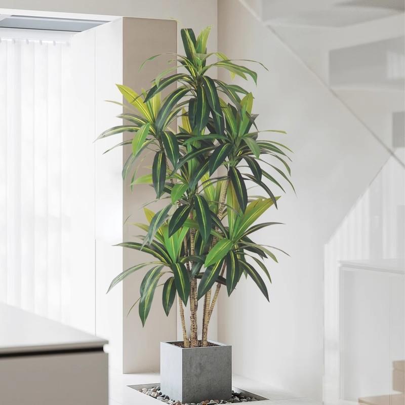 大型落地仿真绿植巴西木盆栽家居室内装饰摆件仿真树巴西铁植物