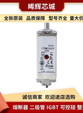 170M1565D 170M1565 电子元器件 库存充足巴斯曼直流快速熔断器