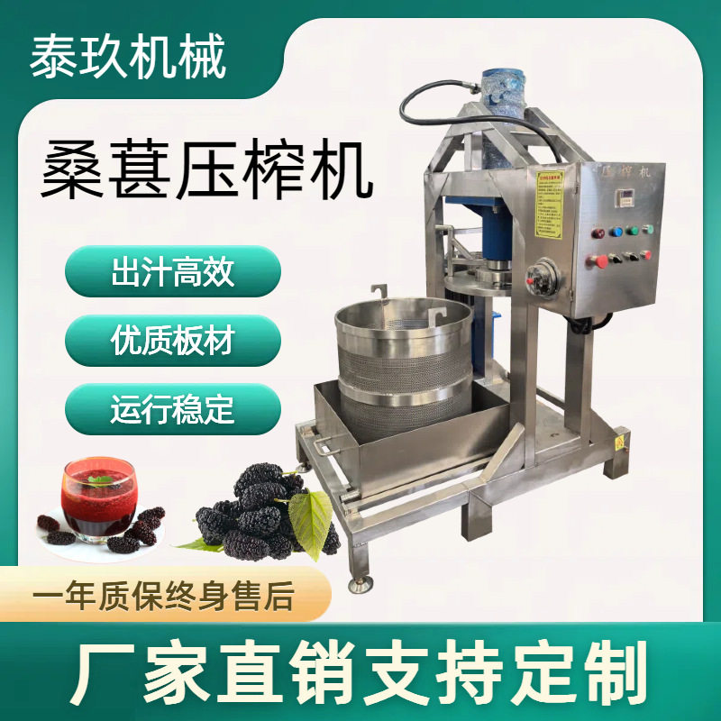 全自动桑葚汁压榨机商用酱菜脱水压榨机大型桑椹饮料压榨出汁设备