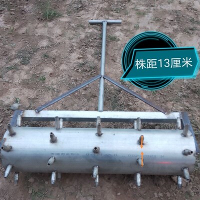 网红大蒜洋葱播种机打孔器种蒜神器打眼种蒜地膜打眼蒜.辊扎眼种