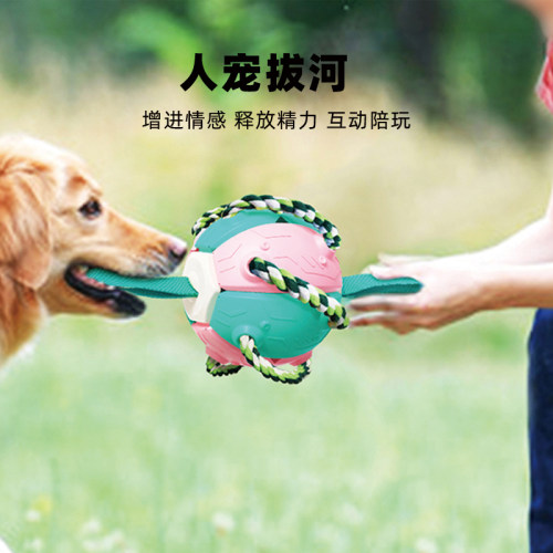 狗狗玩具足球飞盘自嗨解闷神器耐咬柯基边牧大小型犬消耗体力宠物