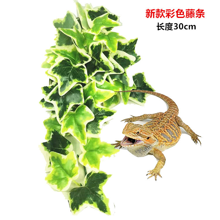 水族箱爬宠壁挂仿真藤条蛇蛙蜥蜴攀爬躲避植物挂叶造景雨林缸景观