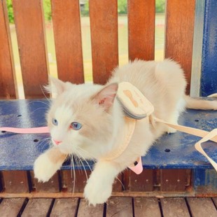 宠物用品猫咪牵引绳狗狗结背包胸背衣柔软舒适溜猫绳狗链