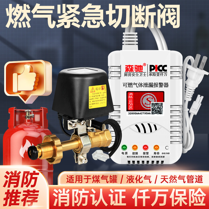 燃气紧急切断阀液化气安全自闭阀报警器钢瓶切断阀煤气泄漏检测仪