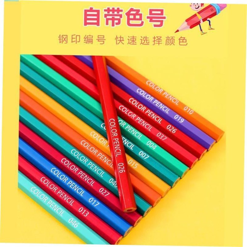colour pencil paminting students use 48 colour pencils with