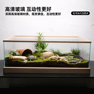 黄缘闭壳龟玻璃缸养安缘乌龟半水龟专用缸生态环境造景水陆养殖箱