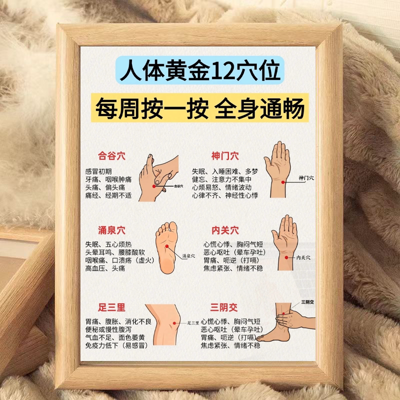 人体经络穴位木质相框摆件