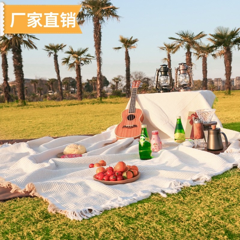 露营野餐垫加厚帐篷户外防水防潮垫郊游法式野餐布草W坪地毯垫便