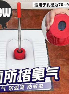 卫生间便槽堵臭便盆家用防臭器盖板E便池蹲坑加长反新款水塞