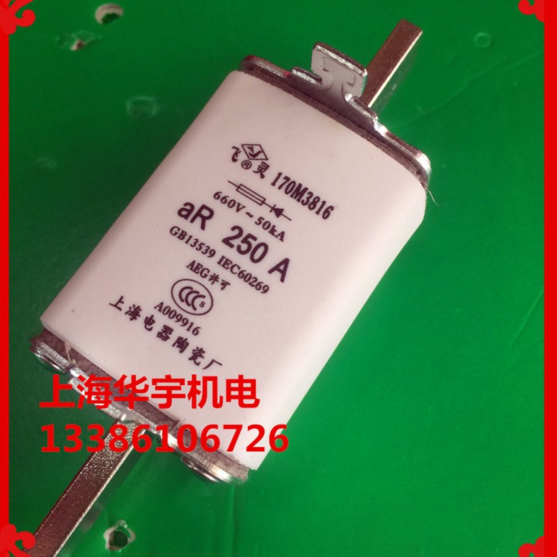 170M3816 170M381t6D 250A 保险丝 690V/700V 熔断器