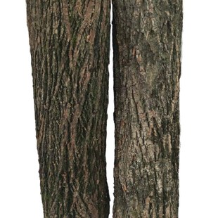 天然真树皮 柳树皮 树皮装饰  包管道柱子 道具用品 枯树 干树皮